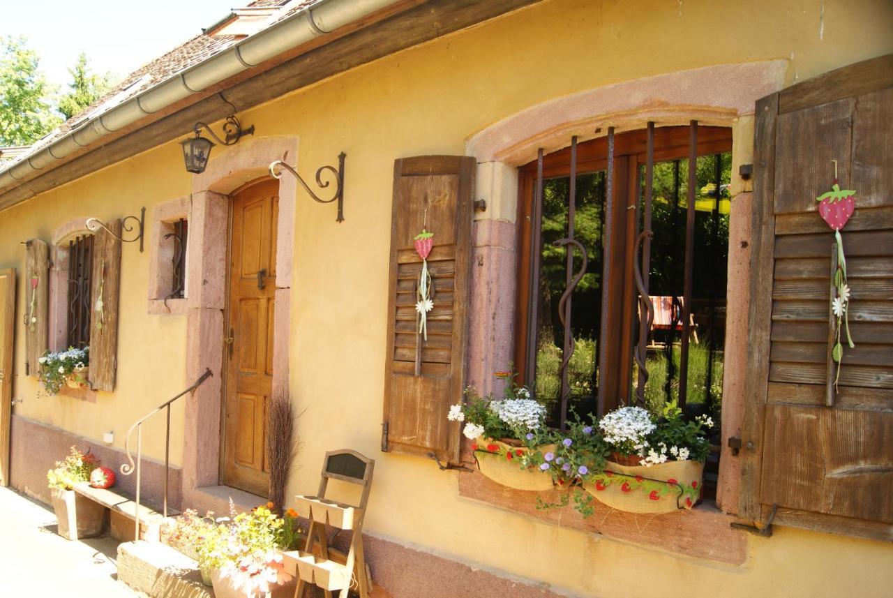 Gite Du Thalala Bernardville Екстер'єр фото